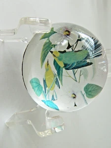 PAPERWEIGHT VINTAGE CLEAR GLASS W/COLORFUL BIRDS & FLOWERS APPROX.3' - Picture 1 of 7
