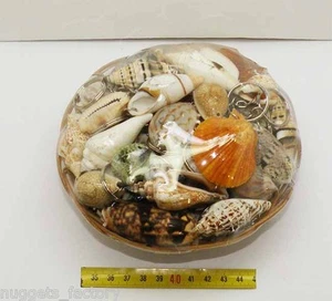 Shell Keychain Basket (001) - Picture 1 of 1