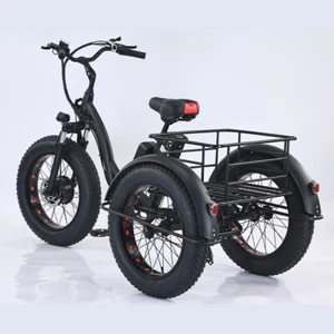 Black Electric Tricycle Adult Bike Trike 3 Wheelers Bike Scooter EBike & Basket - Picture 1 of 23