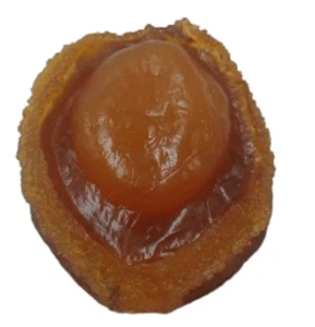 Display Fake Food Prop Abalone - Picture 1 of 3