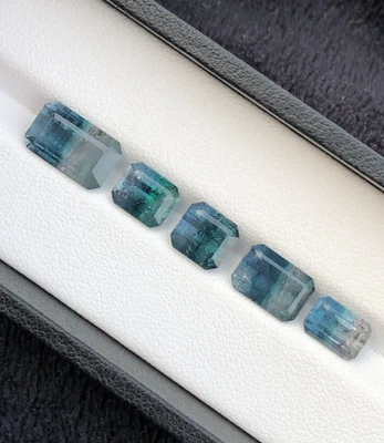 12.1 Carats Bi-Color Natural Tourmaline Loose Stone Lot : Emerald Cut - Image 1 of 4