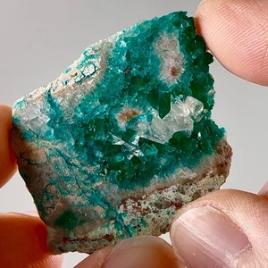 RARE Gem Emerald Green Dioptase Crystal Slice w Calcite & Rainbows From Namibia - Picture 1 of 10