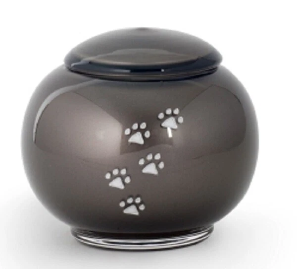 Tierurne aus grauem Glas mit vertieften Pfötchen - Bild 1 von 1