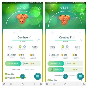 ✨Shiny Combee, male Or female,  Pokèmon Go✨ - Afbeelding 1 van 3
