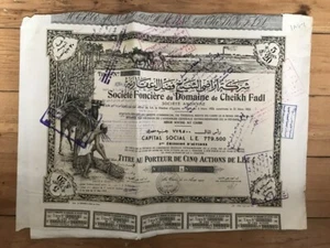 DECO = Foncière du Domaine de CHEIKH FADL (EGYPT) (A4) - Photo 1/1