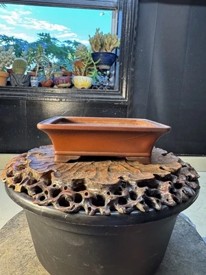 Maceta Bonsai Tokoname Forma Rectángulo Marrón Sin Esmaltar Foto 1 de 4