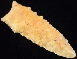 Eccezionalmente fine 2 15/16 pollici Mississippi Dalton Point con punte di freccia T&T COA - Foto 1 di 4