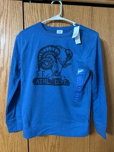 boys Gap sweatshirt size 10/12 - Picture 1 of 4