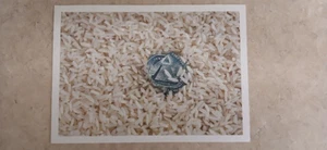 Edward Poitras Wood, paint, rice, dollar bills, cloth, rope-Home and Garden - Picture 1 of 6