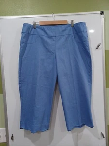 Ruby Rd. Womens Capri Pant Sky Blue Solid Flexible Comfort Waistband Size 20W - Picture 1 of 11