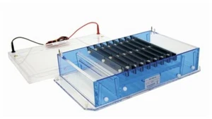 High-Throughput Submarine Horizontal Electrophoresis System - Picture 1 of 2