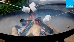 Mighty Extendable Marshmallow or Sausage Fork - Picture 1 of 2