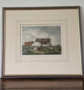 The Pasture Osborne Hand Coloured engraving Cousen after Cooper Framed Cow Calf - Picture 1 of 8