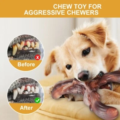 Dogs Chew Toy Toughs Nylons Teething Bone Toy Indestructible Toy Natural Dog Toy - Image 1 of 4