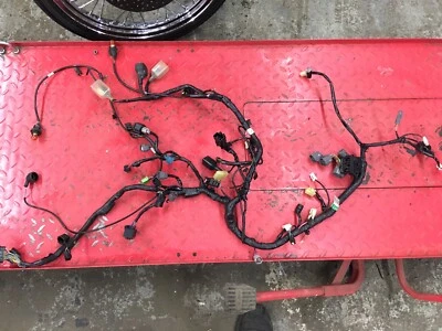 13 14 15 2013 Kawasaki Ninja EX300 EX 300 arnés de cableado completo Foto 1 de 4