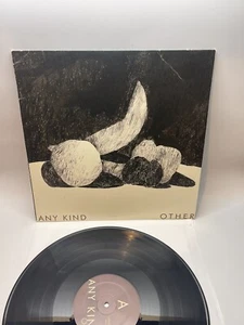 Any Kind Other Vinyl LP 12” 2014 Readymade Records NM/VG - Imagen 1 de 3