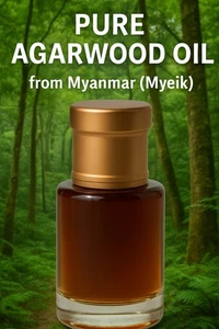 Pure Agarwood Oil | Oud Oil from Myanmar (Myeik) – Premium Grade Natural Fragran - Picture 1 of 7
