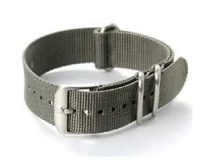 OEM Luminox 22mm Watch Band NAVY SEAL Colormark EVO Nylon Grey 3000 3950 3050 - Picture 1 of 1