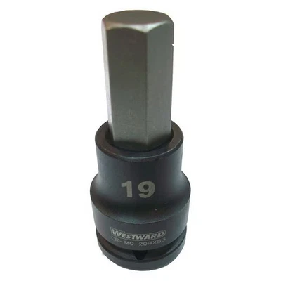 WESTWARD 3/4 in Drive  Socket Bit Standard Socket, Black Oxide, Impkt Skt Bt - Image 1 of 2