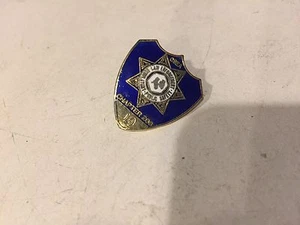 Vintage California 10 Jahre Pin Medaille CSEA Chapter 206 - Bild 1 von 1