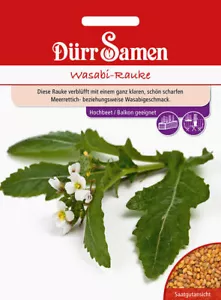 Wasabi-Rauke Samen von Dürr Samen Wasabi Rauke ca 100 Korn Gartenrauke - Bild 1 von 1