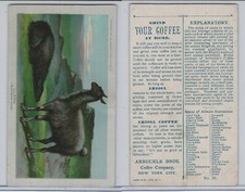 K1 Arbuckle Coffee, Animals, 1890, #50 Llama