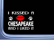 Chesapeake Bay Retriever Kissed L932 8" dog window decal sticker