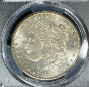 Dólar de plata Morgan 1880-S ~ graduación profesional MS 65 ~HERMOSA MONEDA ~ REF#2049 - Imagen 1 de 4