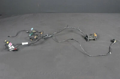 1Q0971120BC Kit cavi cablaggio cablaggio porta conducente porta L VW EOS 1F 9.617 km  - Immagine 1 di 4