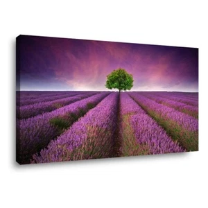 Leinwand Bild Lavendel Feld Nature 80 x 60 cm Nr.4059 - Bild 1 von 1