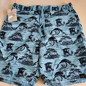 NEW MENS LARGE BLUE WAVES SURF WEATHERPROOF VINTAGE SHORTS SWIM TRUNKS W/ LINER - Picture 1 of 3