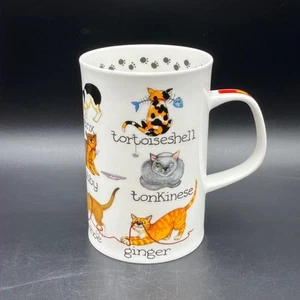 Dunoon Fine Bone China KATZENEITER Cartoon Tasse von Cherry Denman - Bild 1 von 6