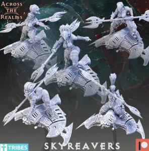 Skyreavers x 5 models (28 / 32mm scale) - Picture 1 of 1