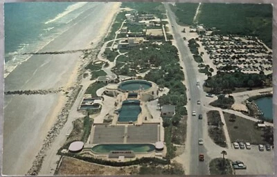 Postal de colección de los años 50 de Florida Marineland en vista aérea del Océano Atlántico Foto 1 de 2