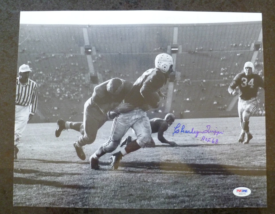 CHARLEY TRIPPI AUTO SIGNED 11X14 PHOTO BULLDOGS UGA CHICAGO CARDINALS HOF PSA - Image 1 of 3