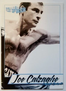 Joe Calzaghe 2017 4LUVofBOXING Legends Series 2 Boxkarte - Bild 1 von 2