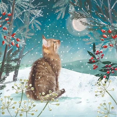 Christmas Cards Cats Protection 2025 Cat in Moonlight pack of 10 and Envelopes