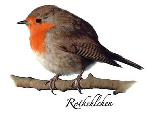 Red Robin Rotkehlchen Bird Select-A-Size Waterslide Ceramic Decals Bx
