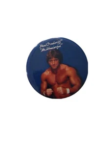 Mr Wonderful 1985 Titan Sport Pinback Button Paul Orndorff wrestling Vintage Pin - Picture 1 of 3