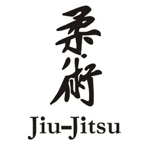 1x JIU JITSU BJJ MMA UFC JDM CUTE FUNNY Wall Sticker Car Window Motorcycle Decal