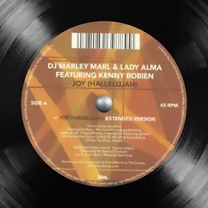 DJ Marley Marl & Lady Alma Featuring Kenny Bobien | Joy (Hallelujah) | 12" Vinyl - Imagen 1 de 1