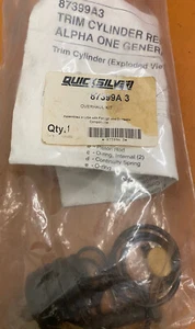 OEM 87399A 3 Overhaul Kit - Picture 1 of 5