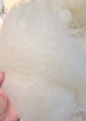 SUPERSOFT WASHED Needle/Wet Felting Natural Card Wool Toy Filling Stuffing - Image 1 of 3