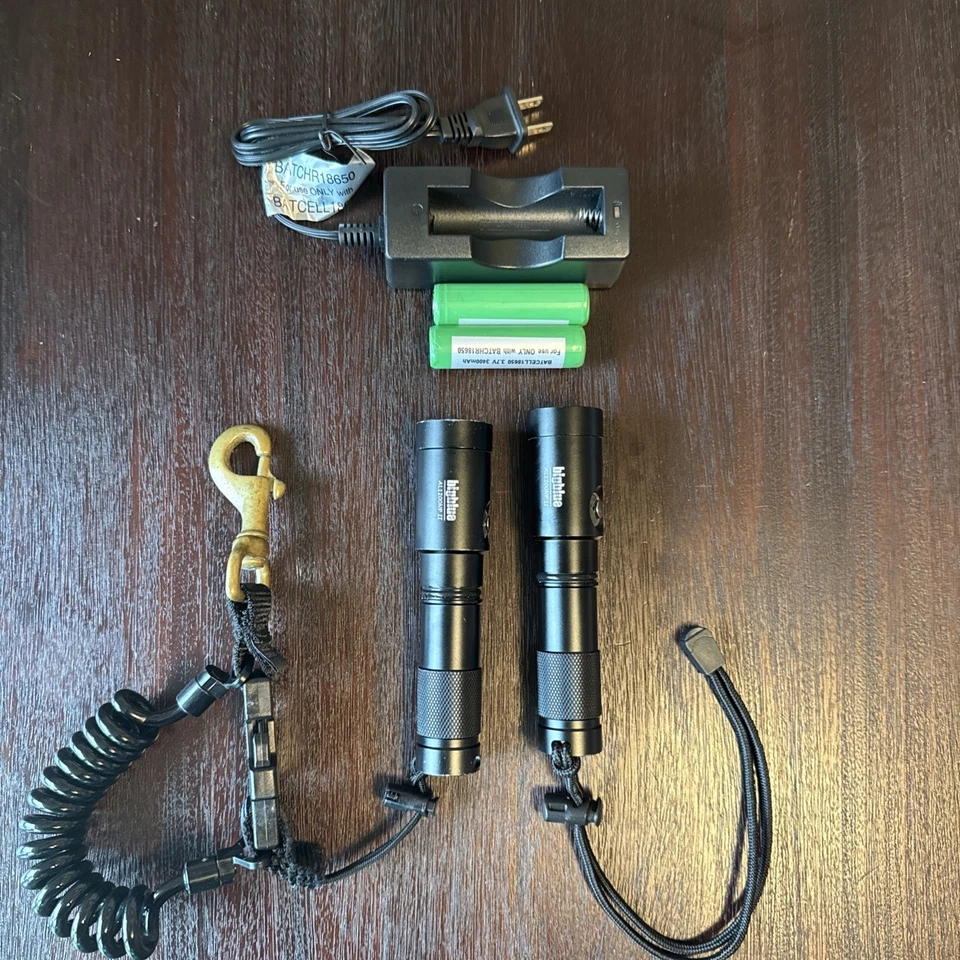 Luces intermitentes de buceo bajo el agua x2 Big Blue AL1200NPII Foto 1 de 4