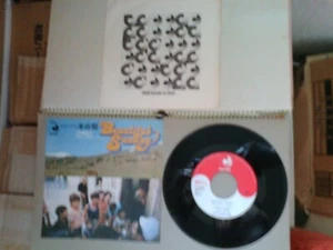 Daniel Boone : Beautiful Sunday / Sleepy Head ; JPN Disco Mate 7"45 Pic. Sleeve - Picture 1 of 4