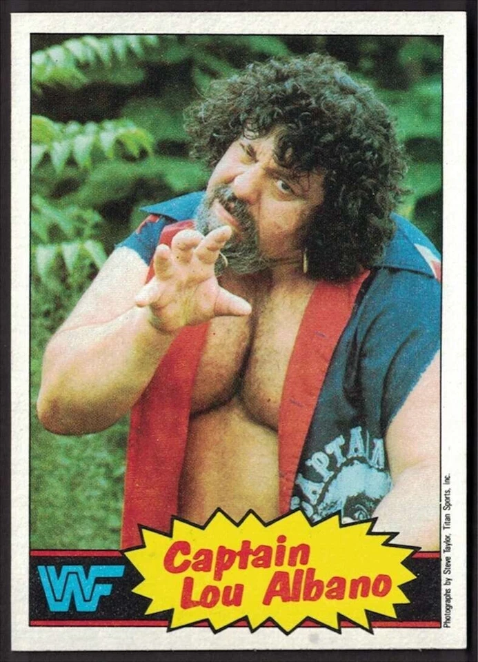 1985 Topps WWF WWE Pick & Choose - Discounts on Multiple - NM - READ - Image 1 of 1