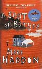 2827000 - A spot of brother - Mark Haddon