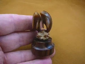tb-dolph-15) Dolphins pair Dolphin TAGUA NUT palm figurine Bali detailed - Picture 1 of 3