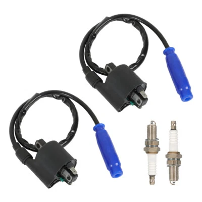 2x Bujía bobina de encendido + tapa para Kawasaki Teryx4 800 KRT800 2014 2015-2022 Foto 1 de 4