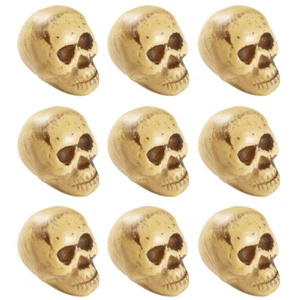 9 x Mini Totenkopf Schädel Deko Totenköpfe Halloween Knochenschädel Horrordeko - Bild 1 von 2